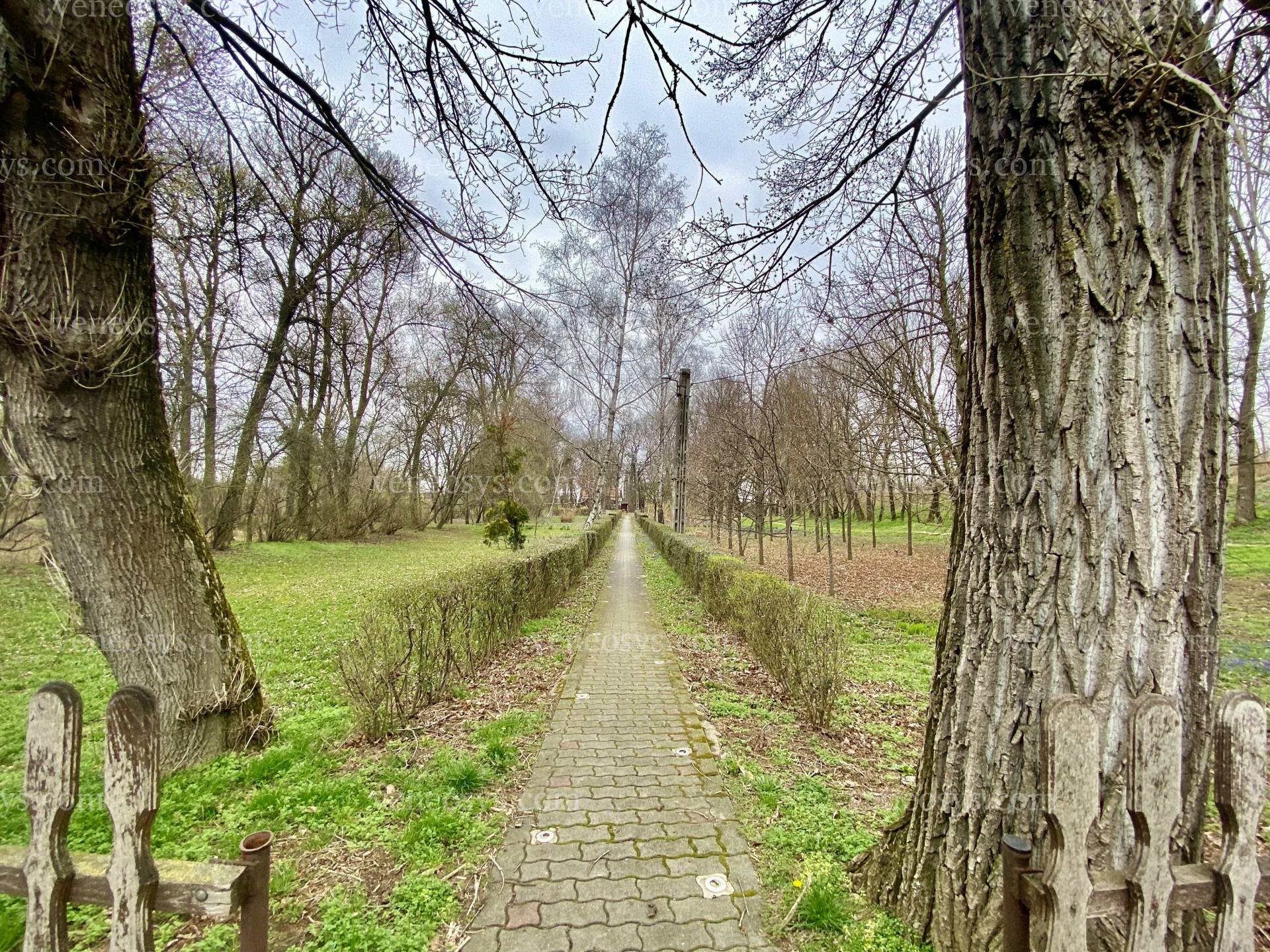 Kép 13