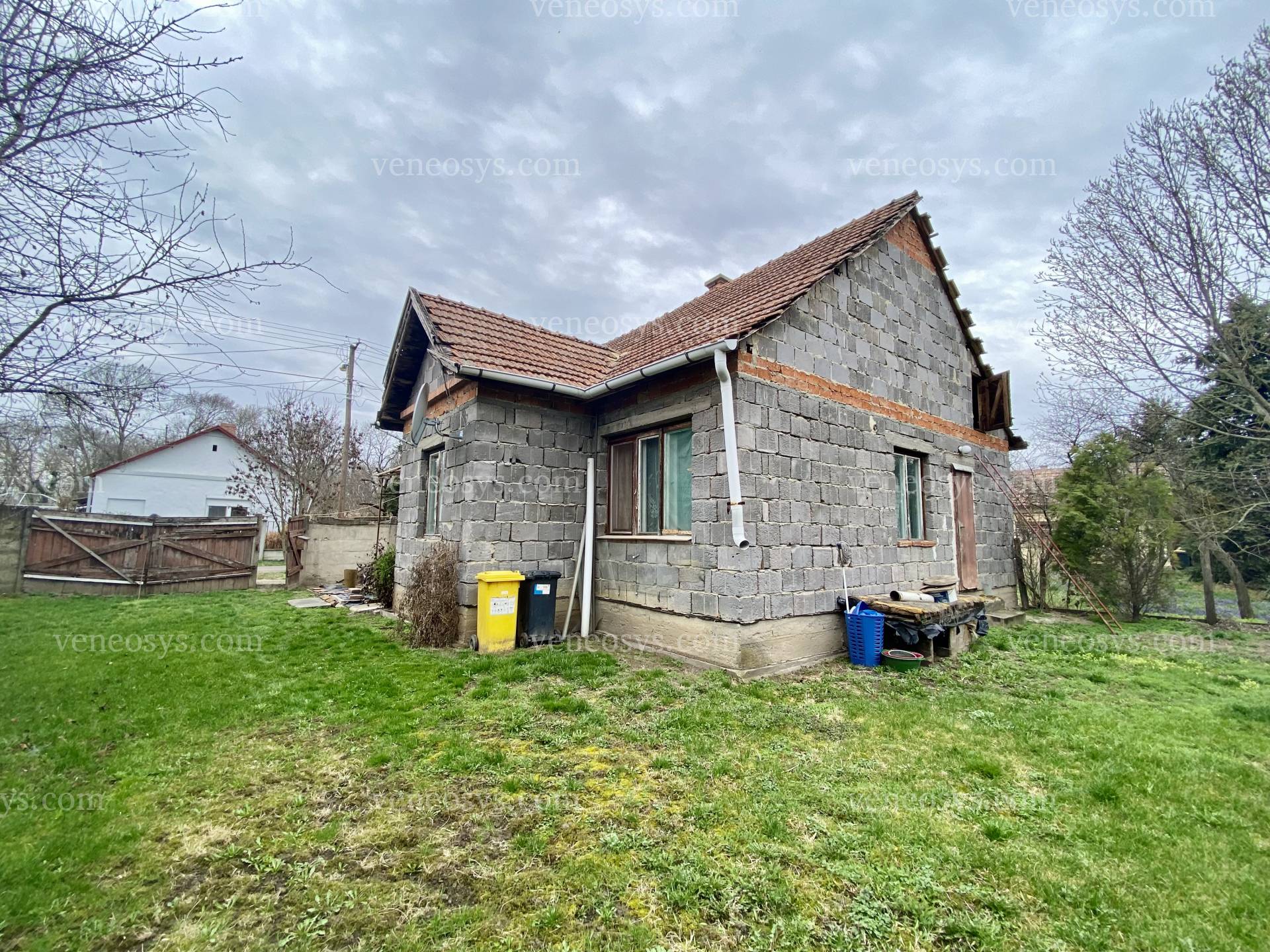 Kép 8