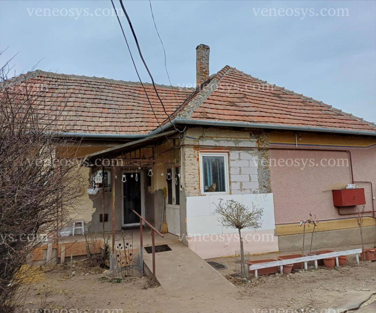 Kép 3
