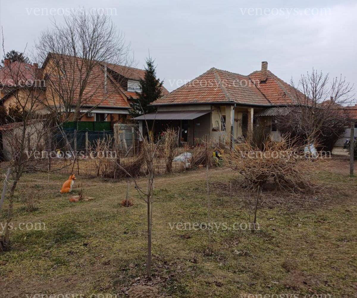 Kép 9