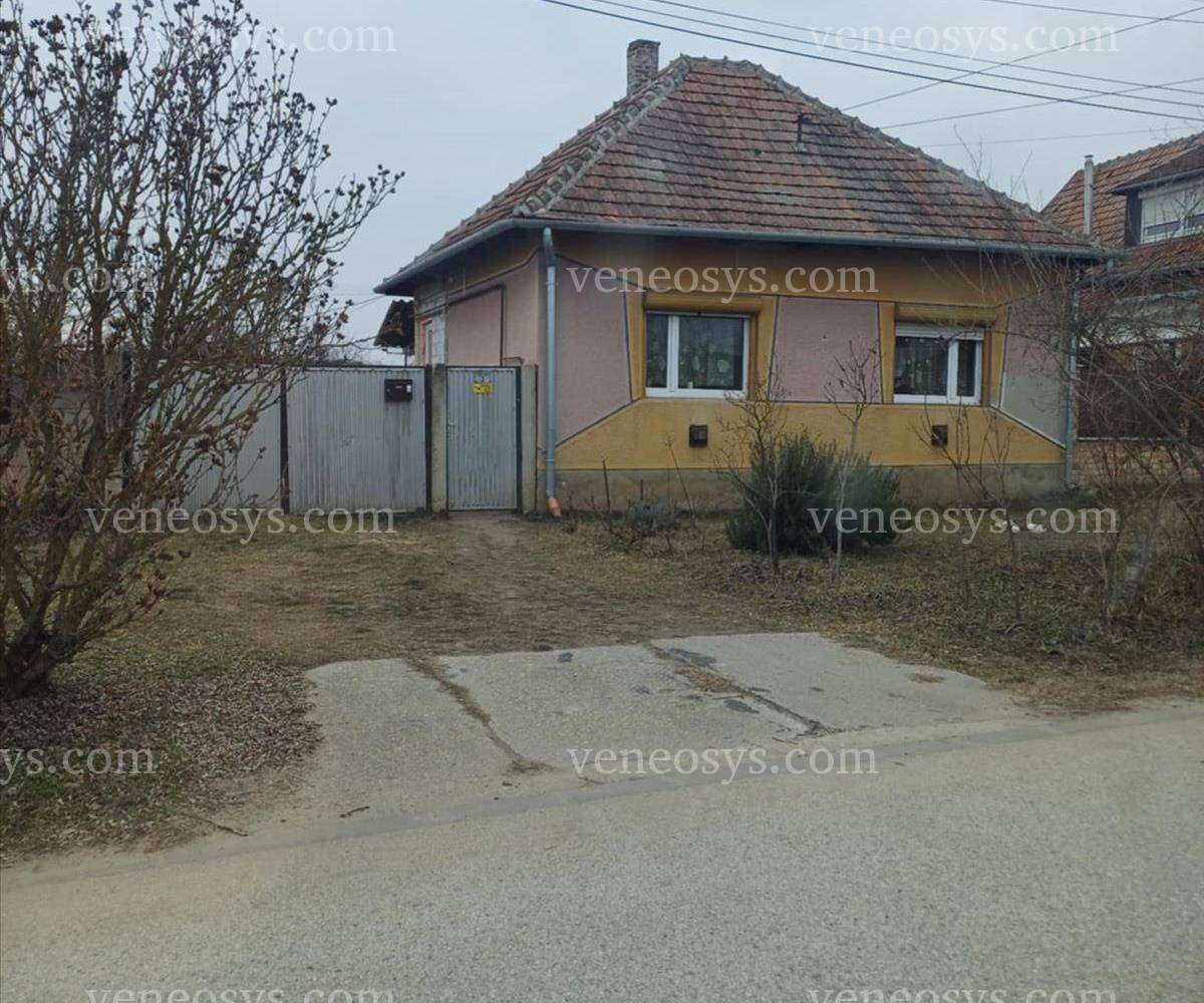 Kép 5