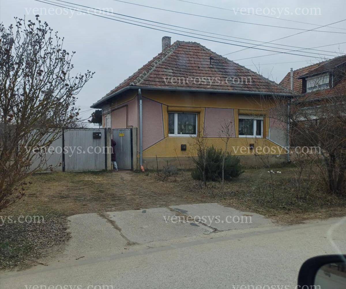 Kép 13