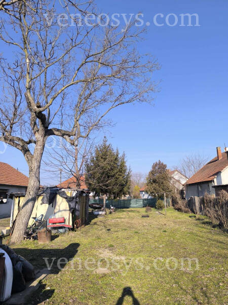 Kép 25