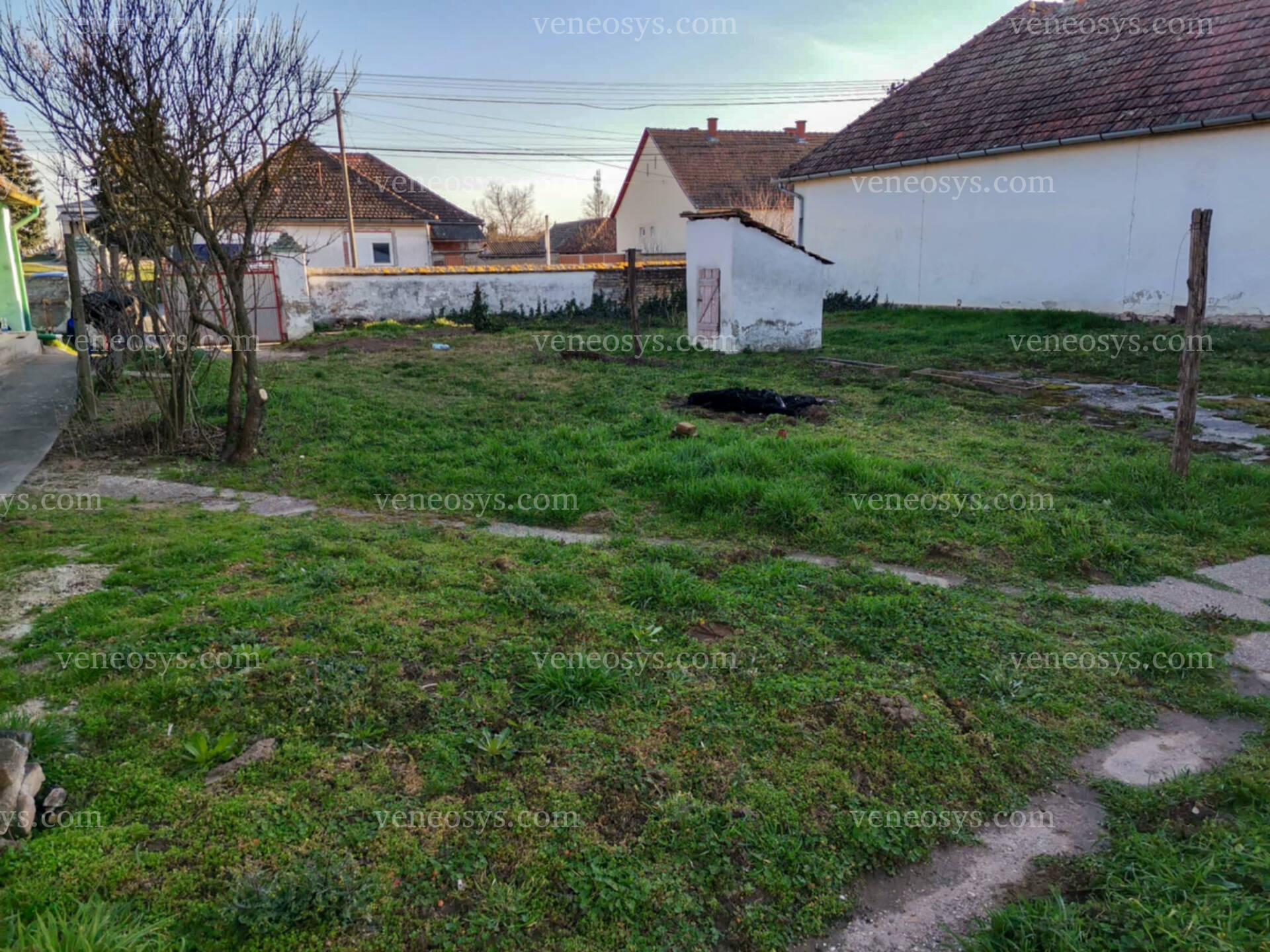 Kép 4