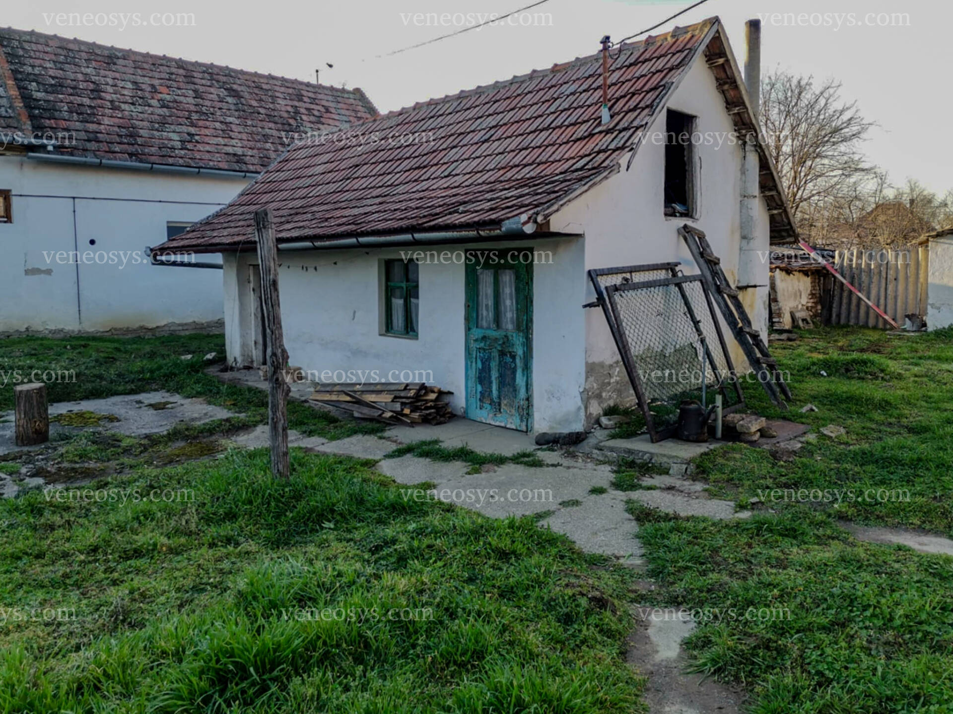 Kép 12