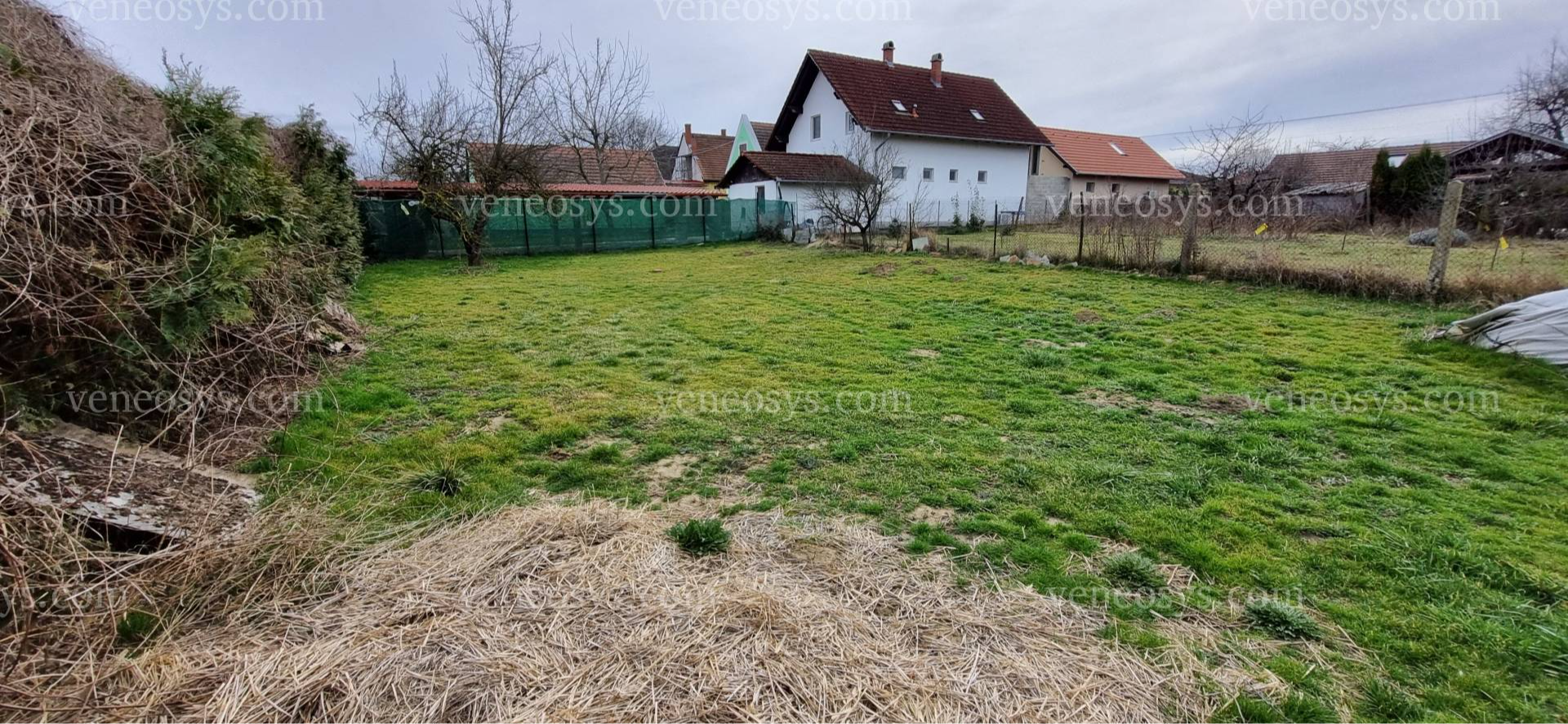 Kép 10