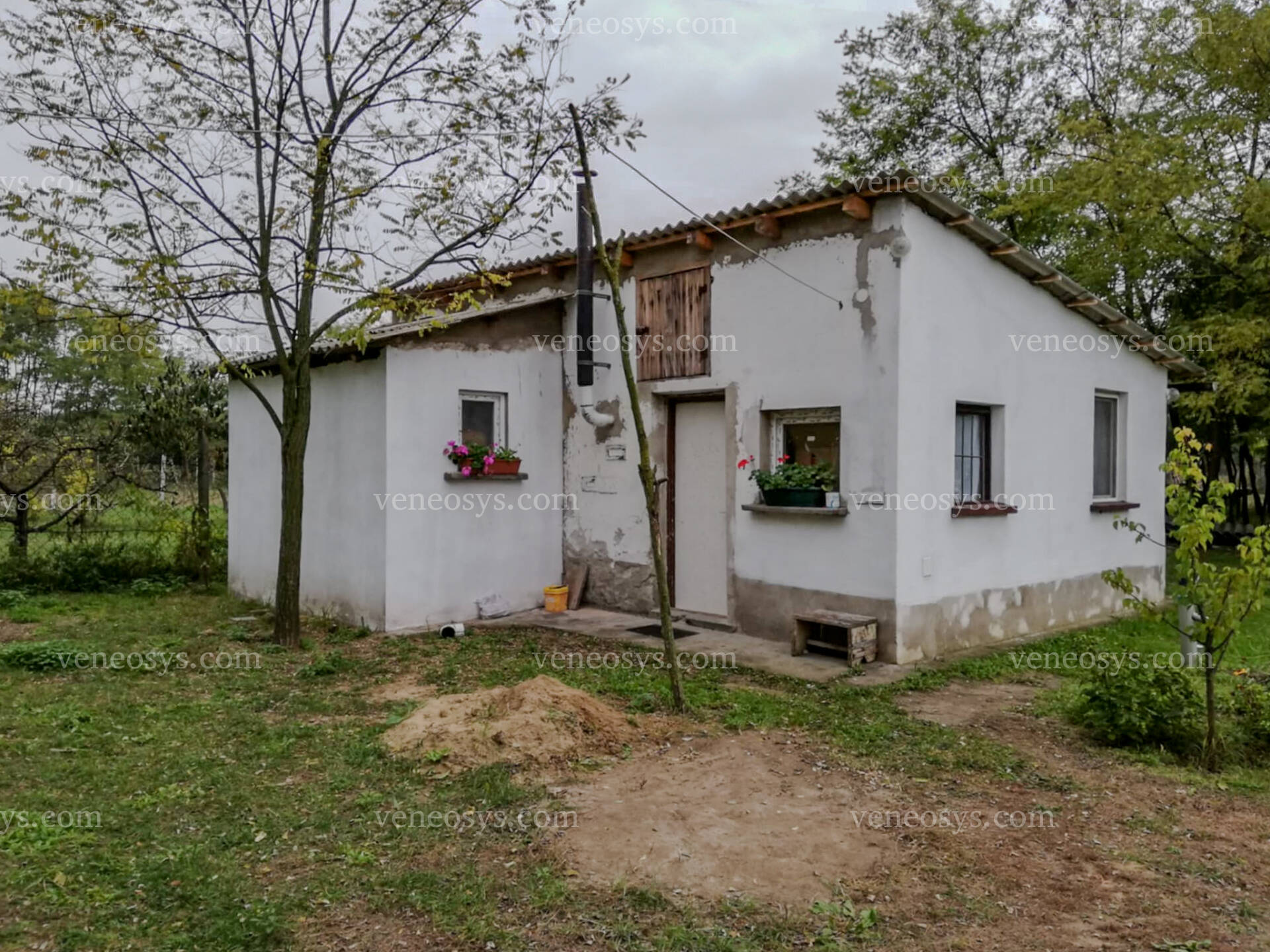 Kép 13