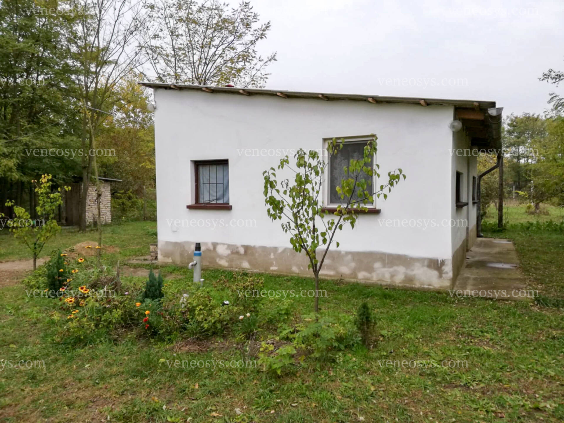 Kép 12