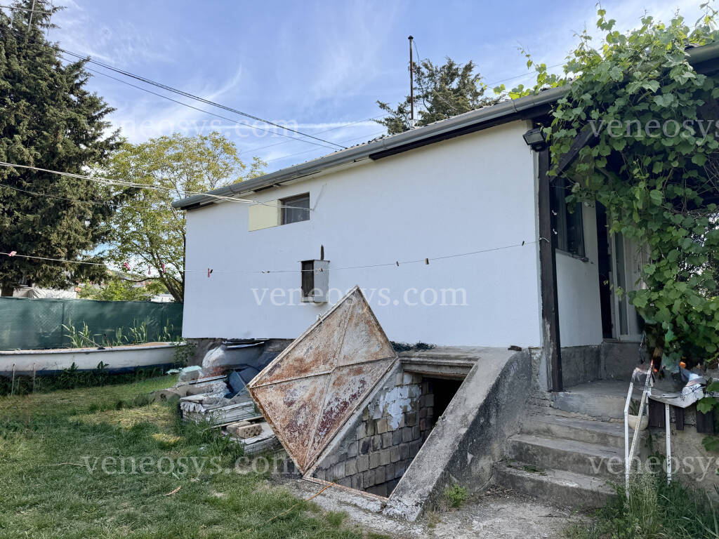 Kép 4
