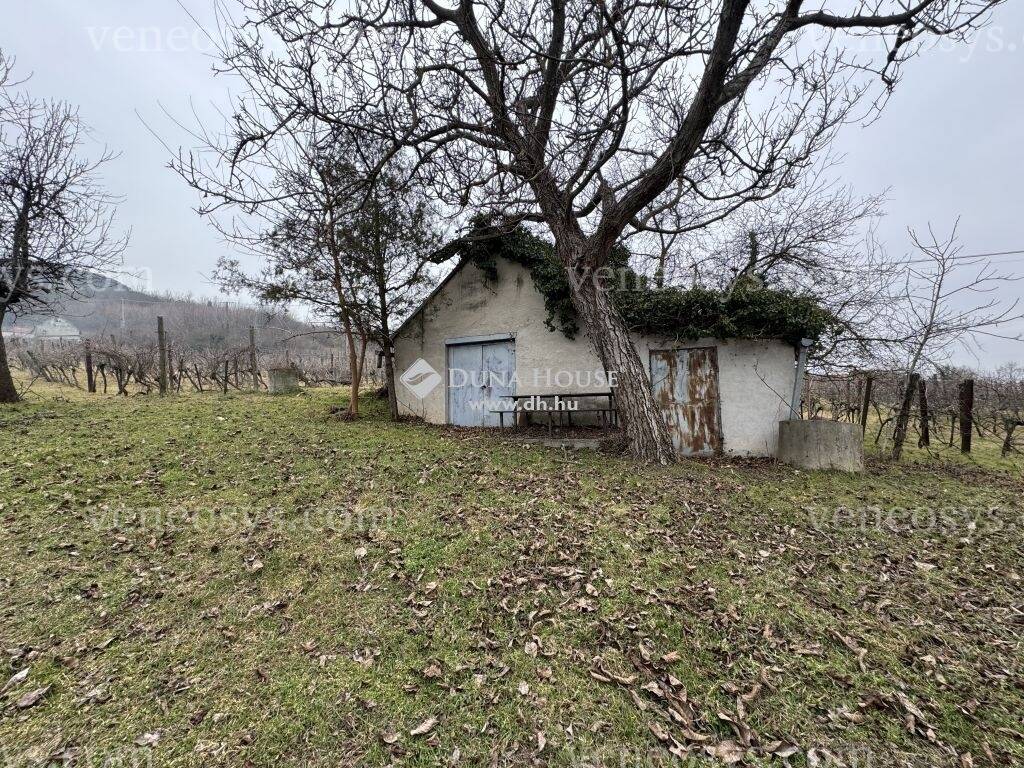 Kép 8