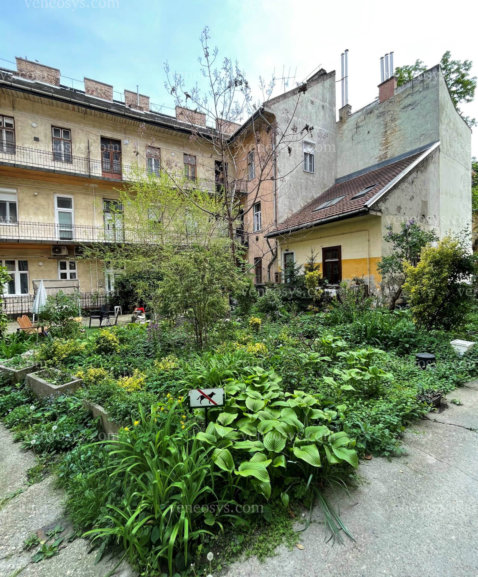 Kép 14