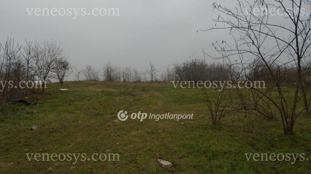 Kép 5