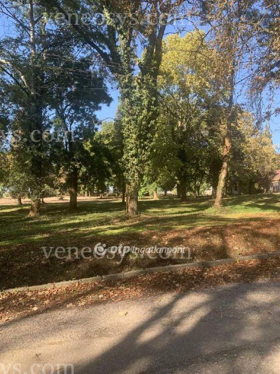 Kép 5