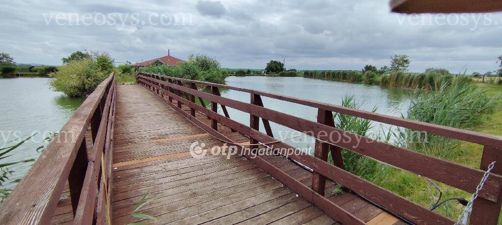 Kép 2