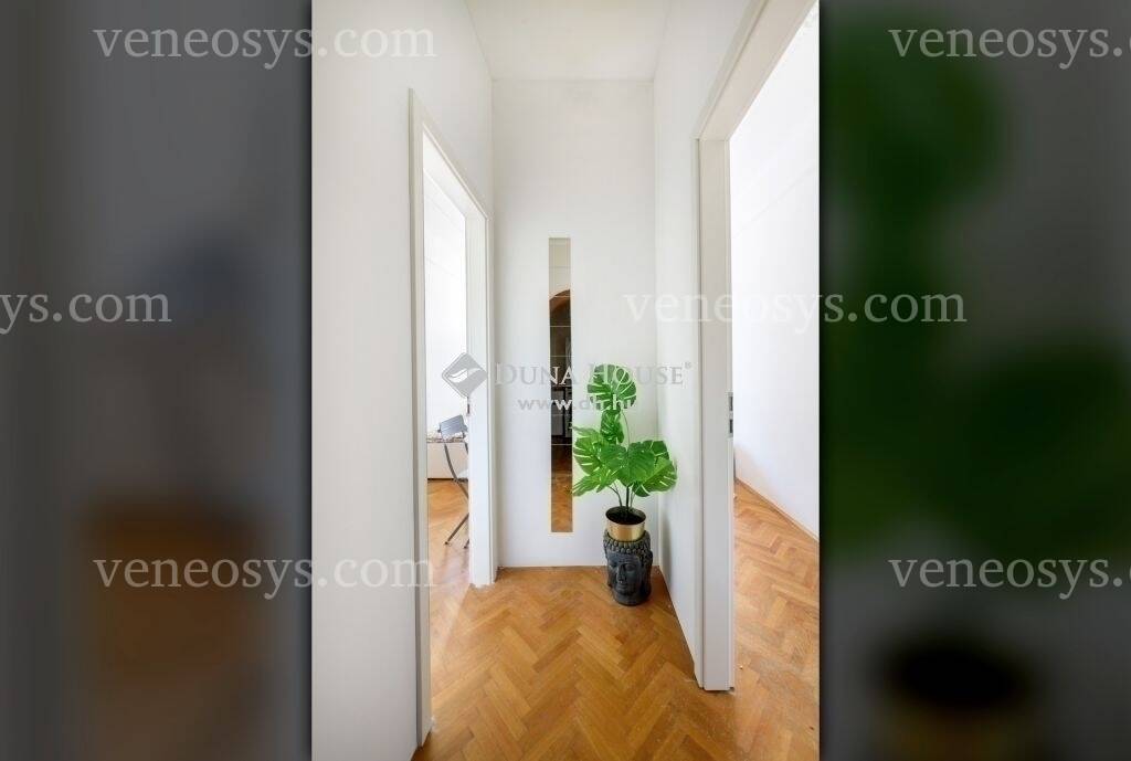 Kép 8