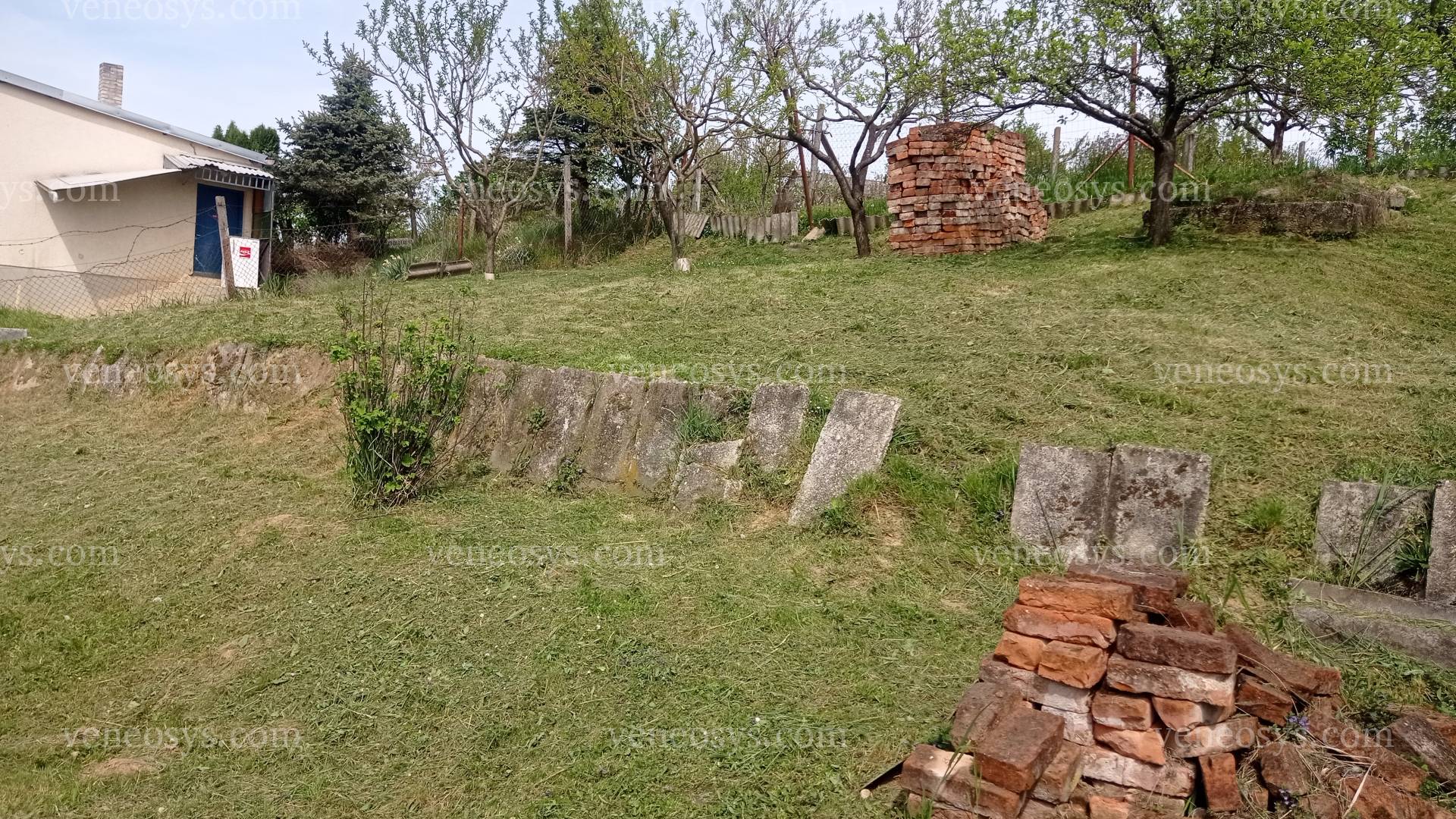 Kép 22