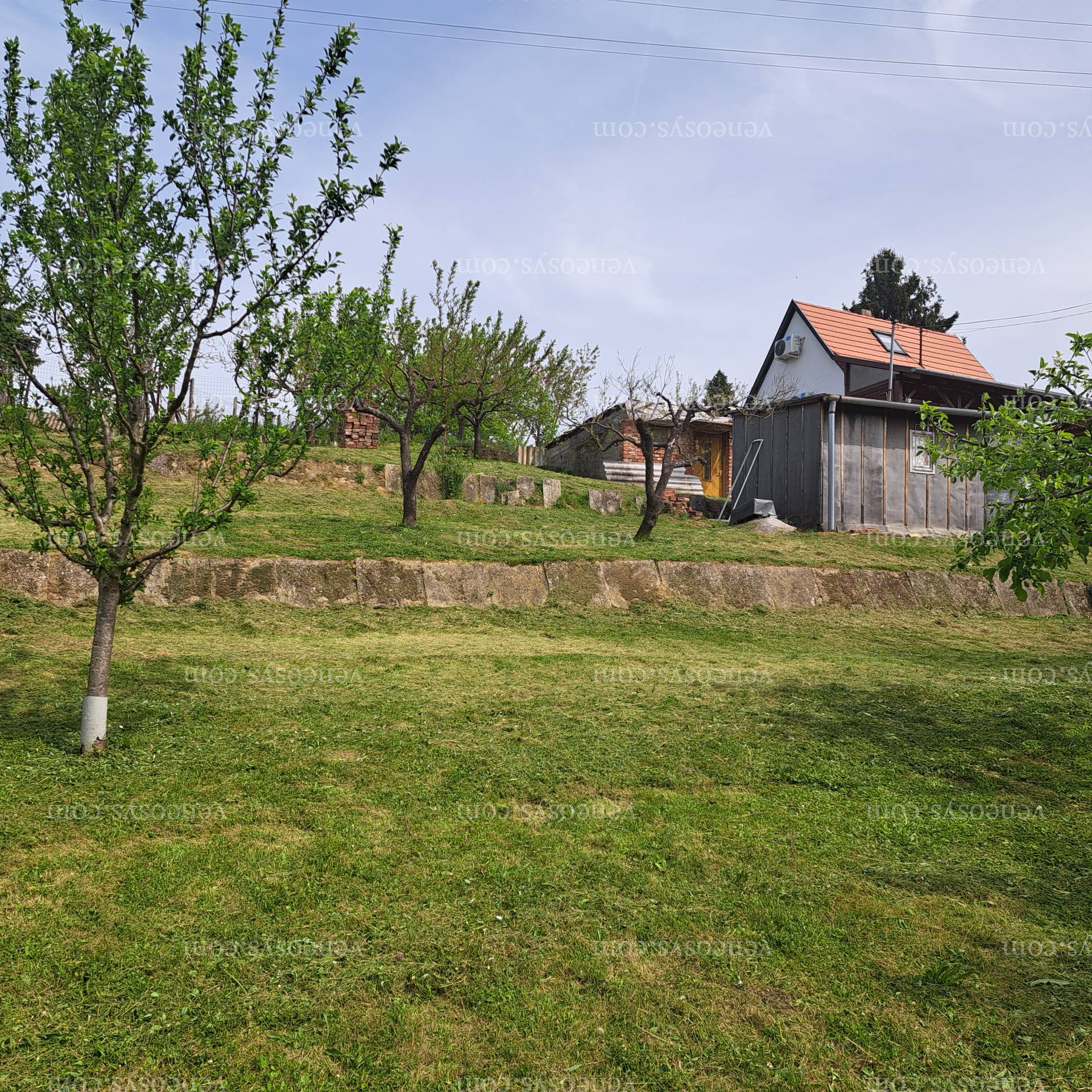 Kép 2