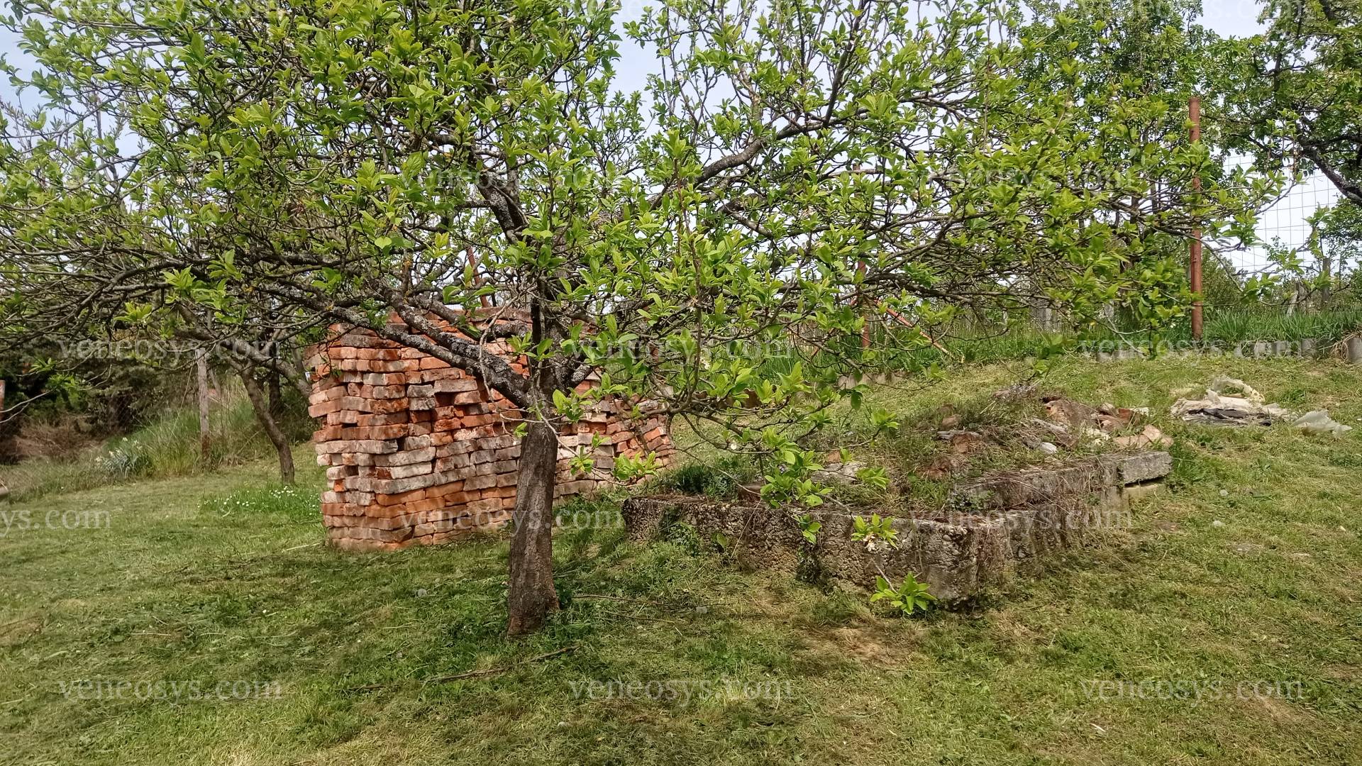 Kép 21