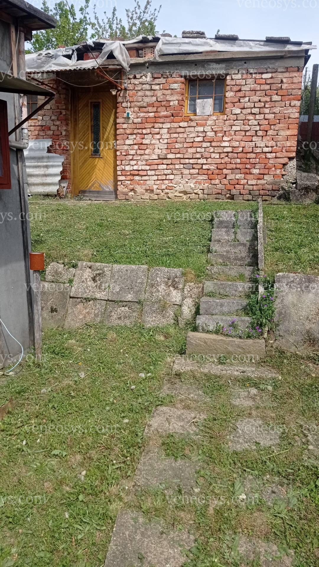 Kép 24