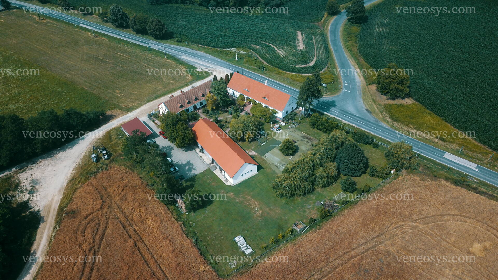 Kép 12