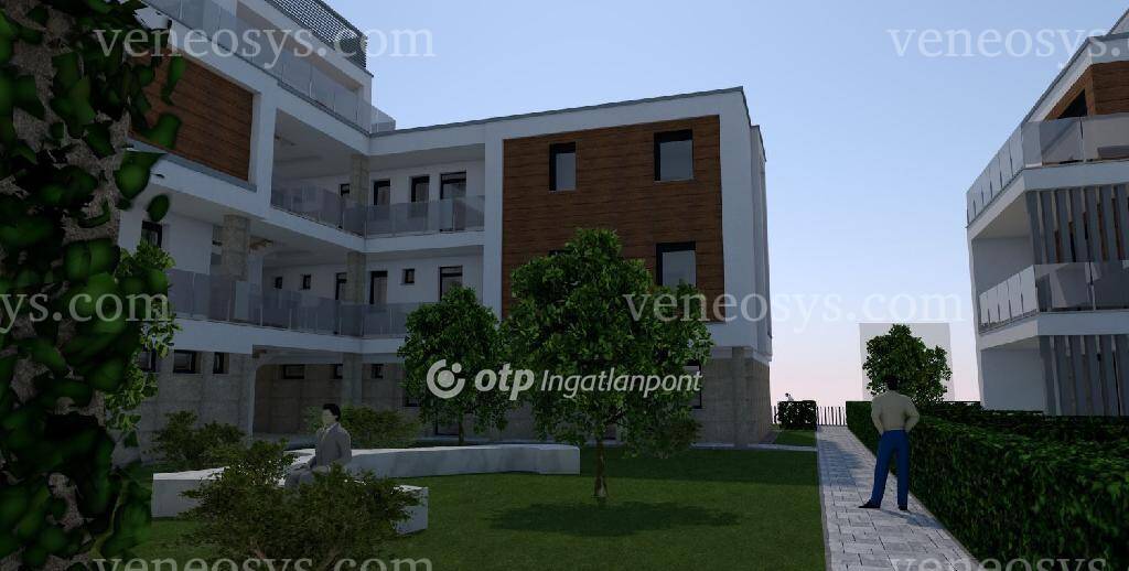 Kép 7