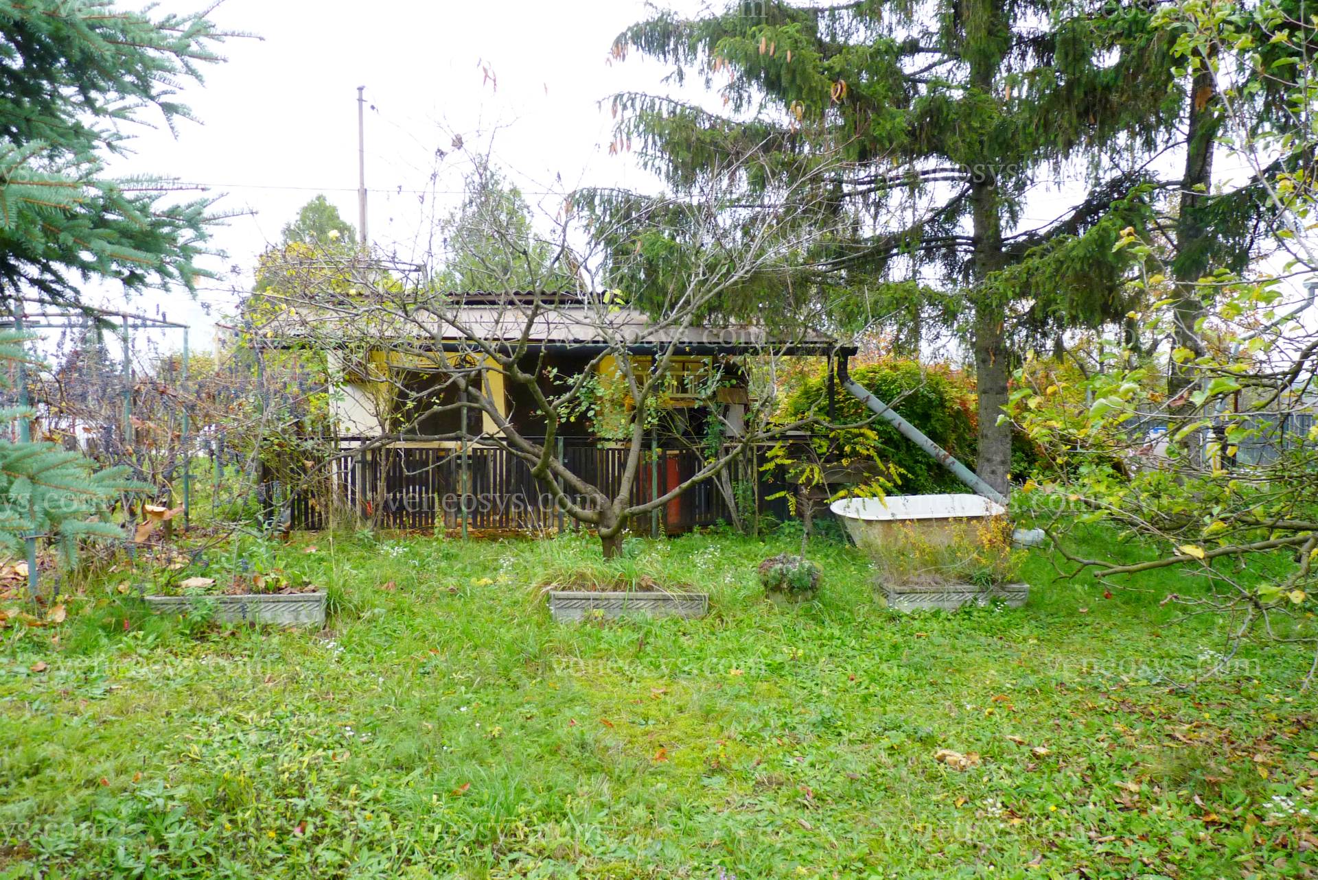 Kép 7