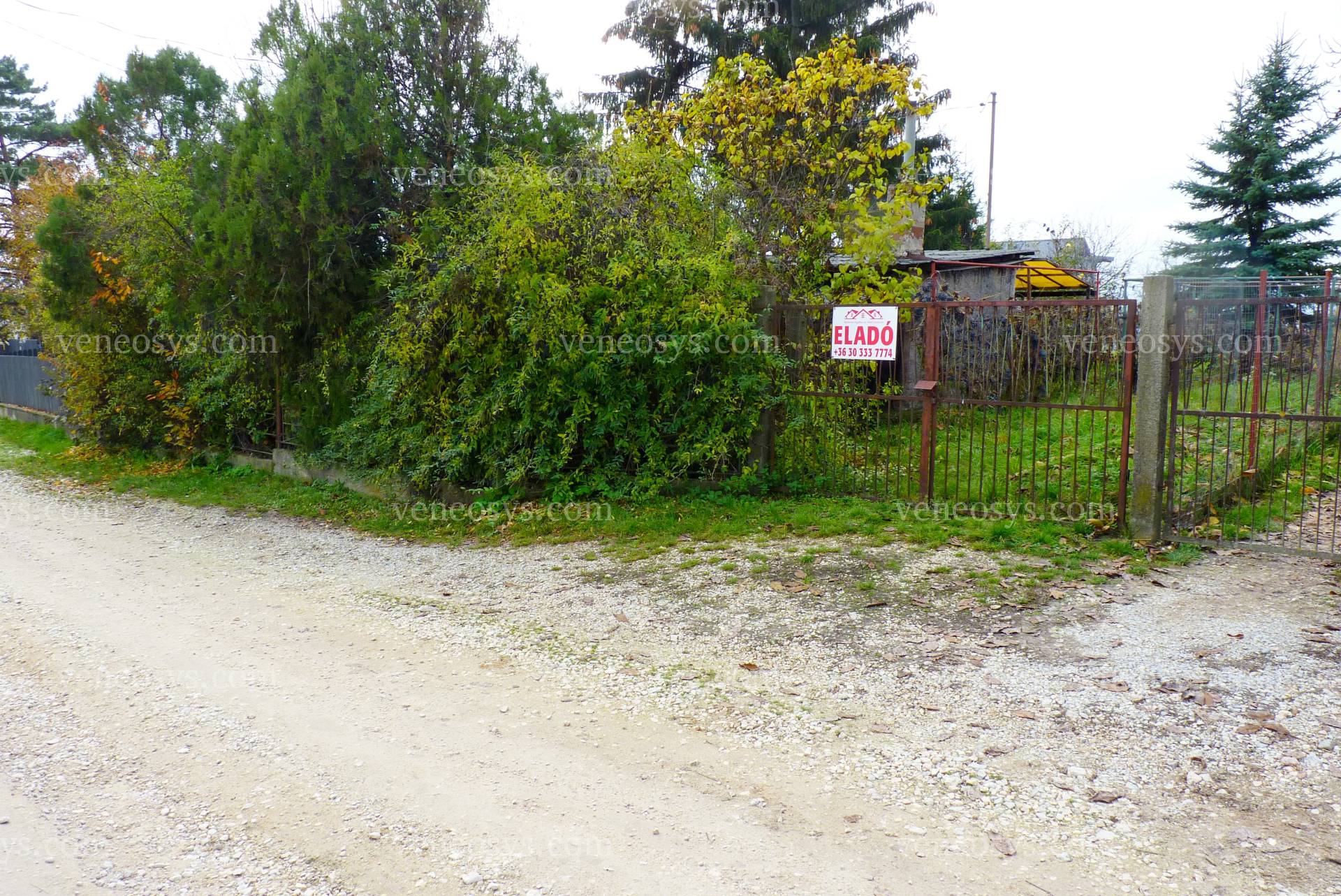 Kép 13