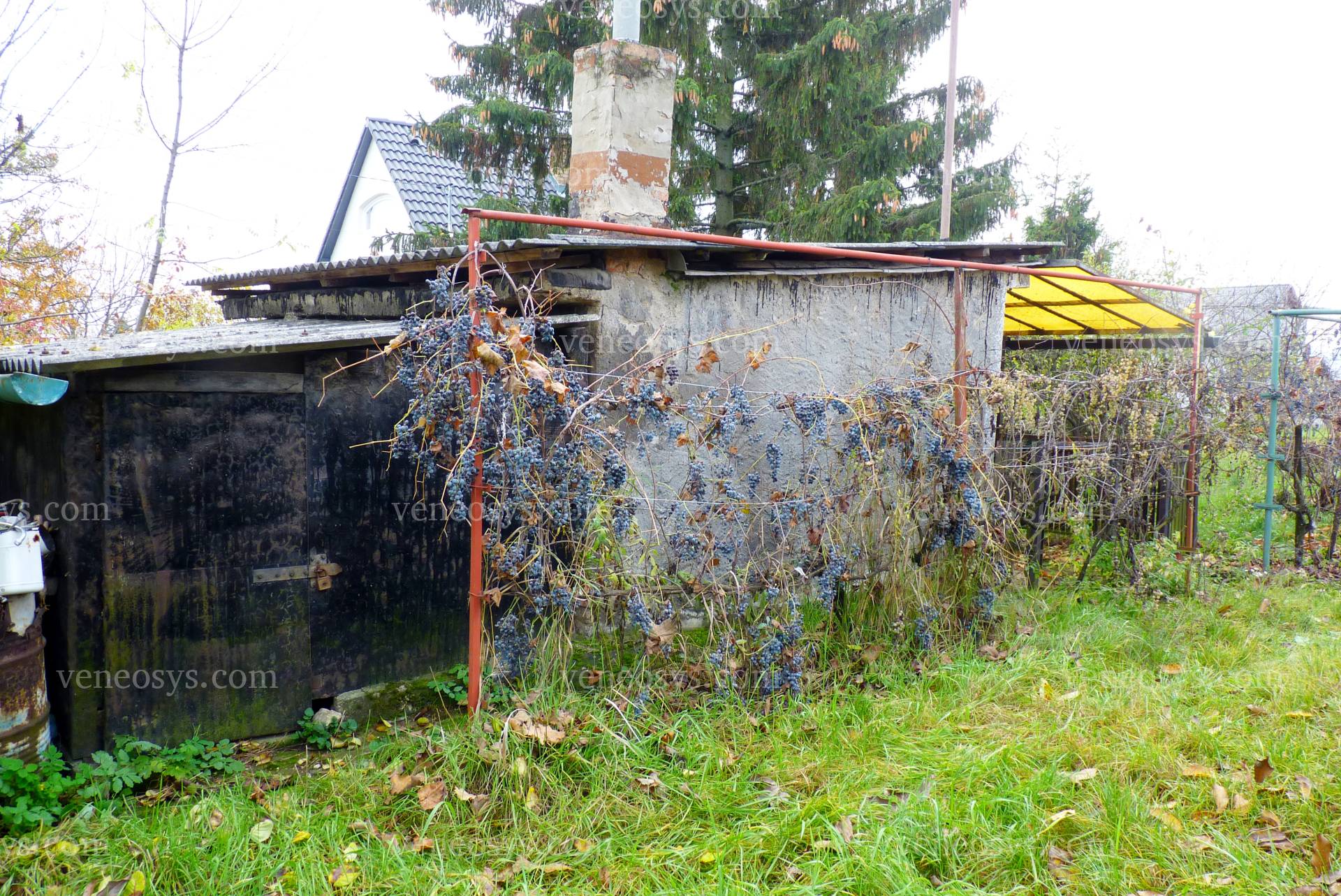 Kép 14