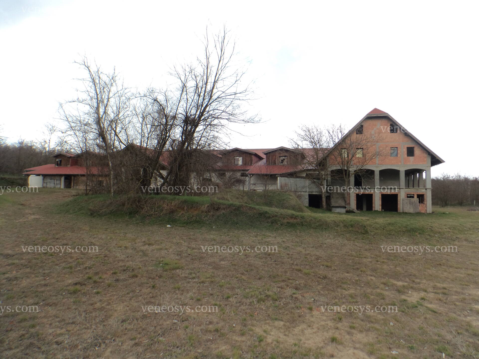 Kép 14
