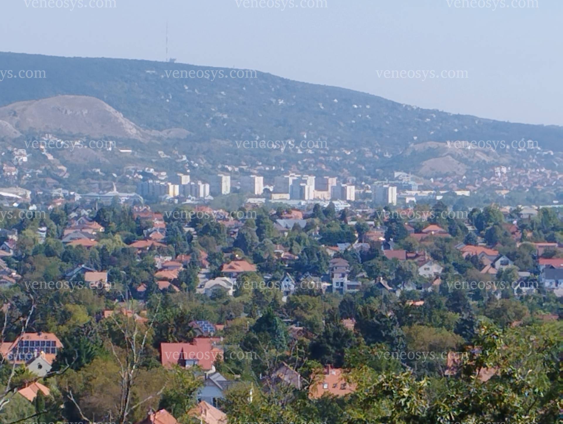 Kép 4