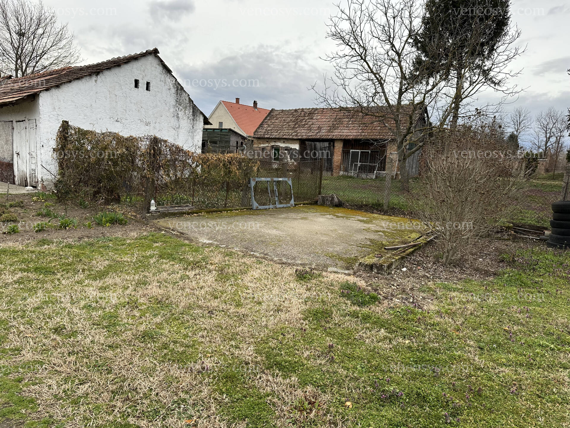 Kép 13
