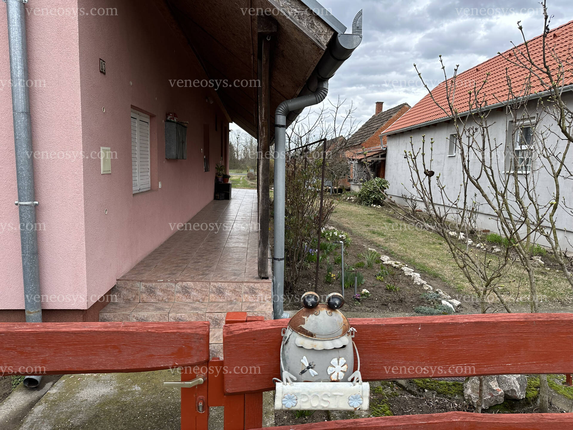 Kép 5