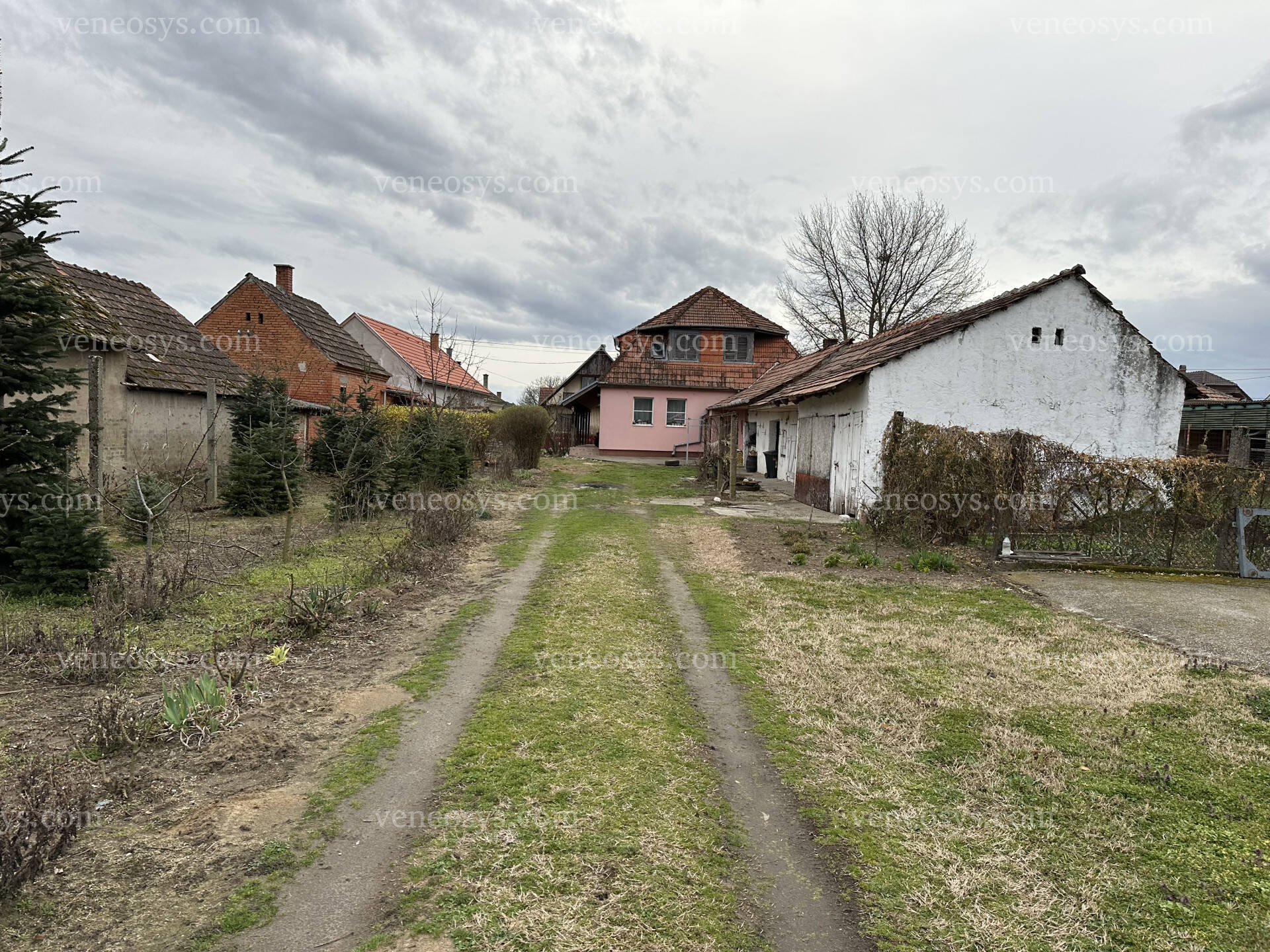 Kép 12