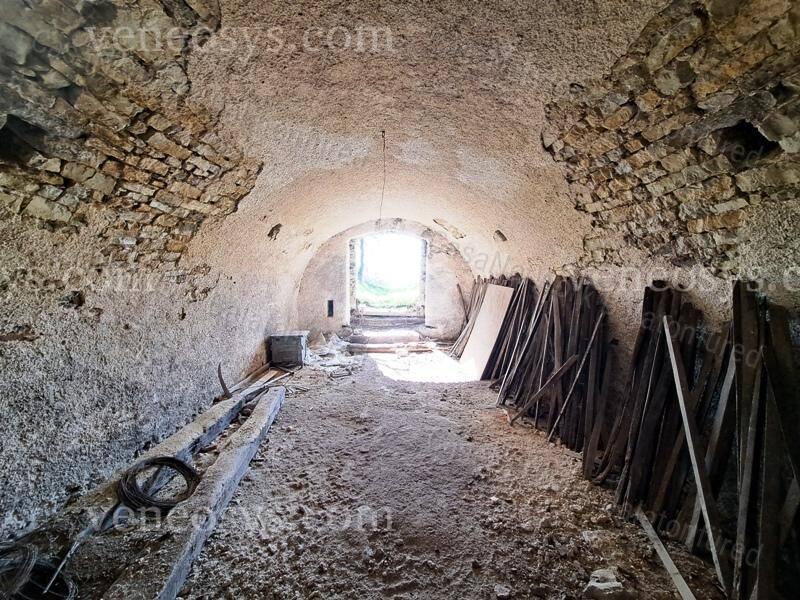 Kép 7