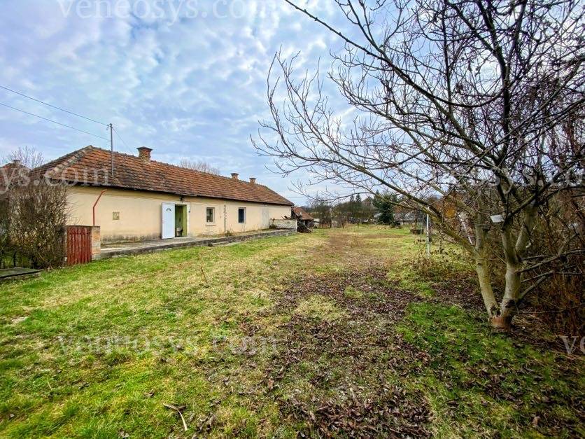 Kép 23