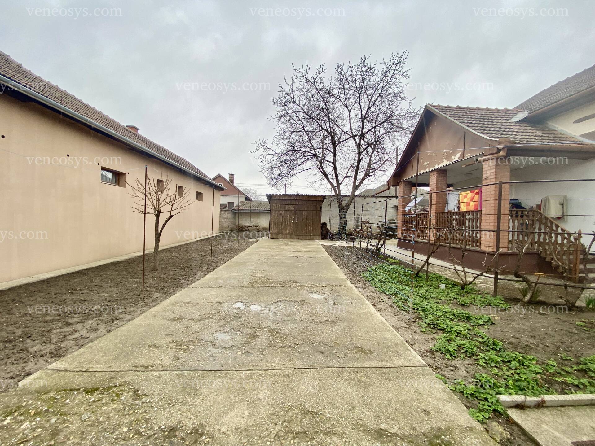 Kép 25