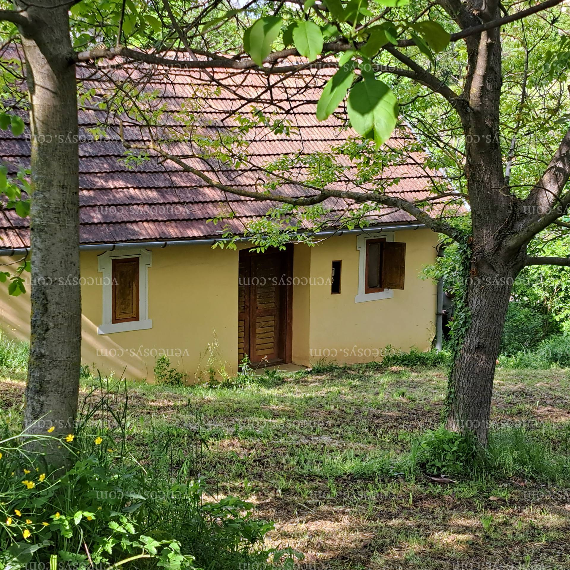 Kép 27