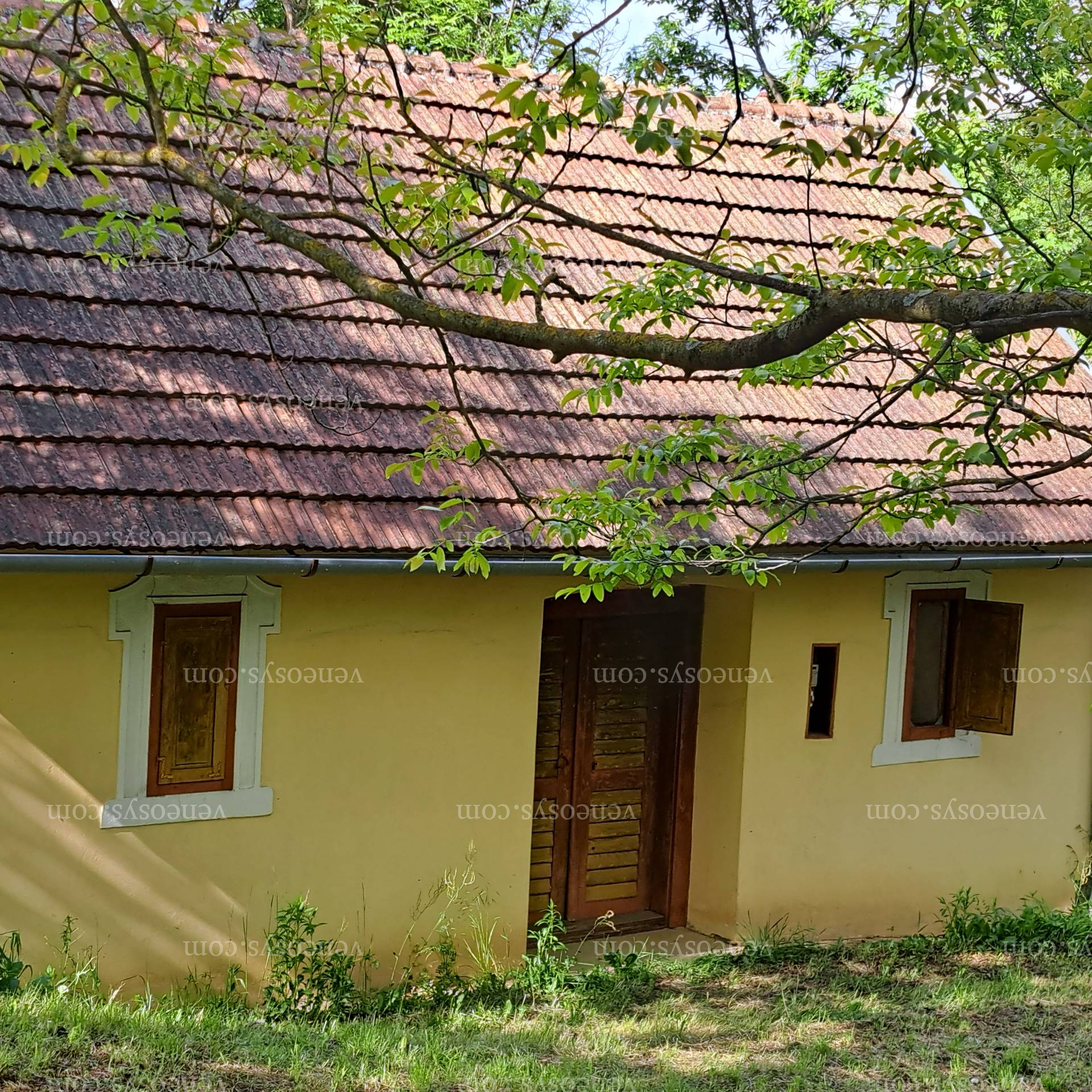 Kép 28