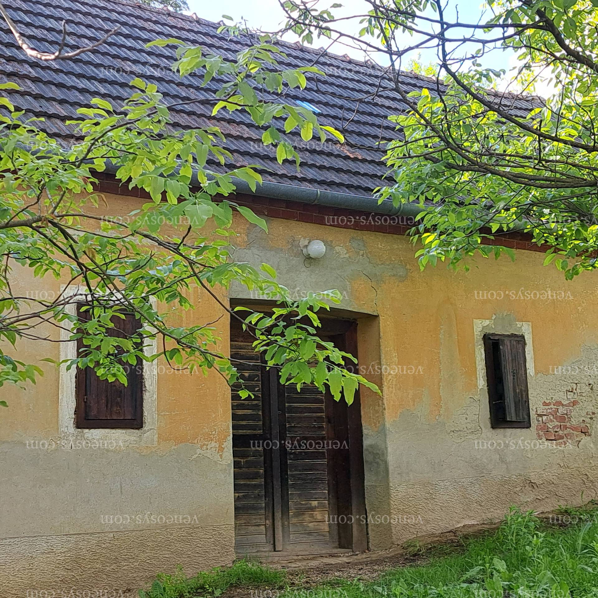 Kép 7