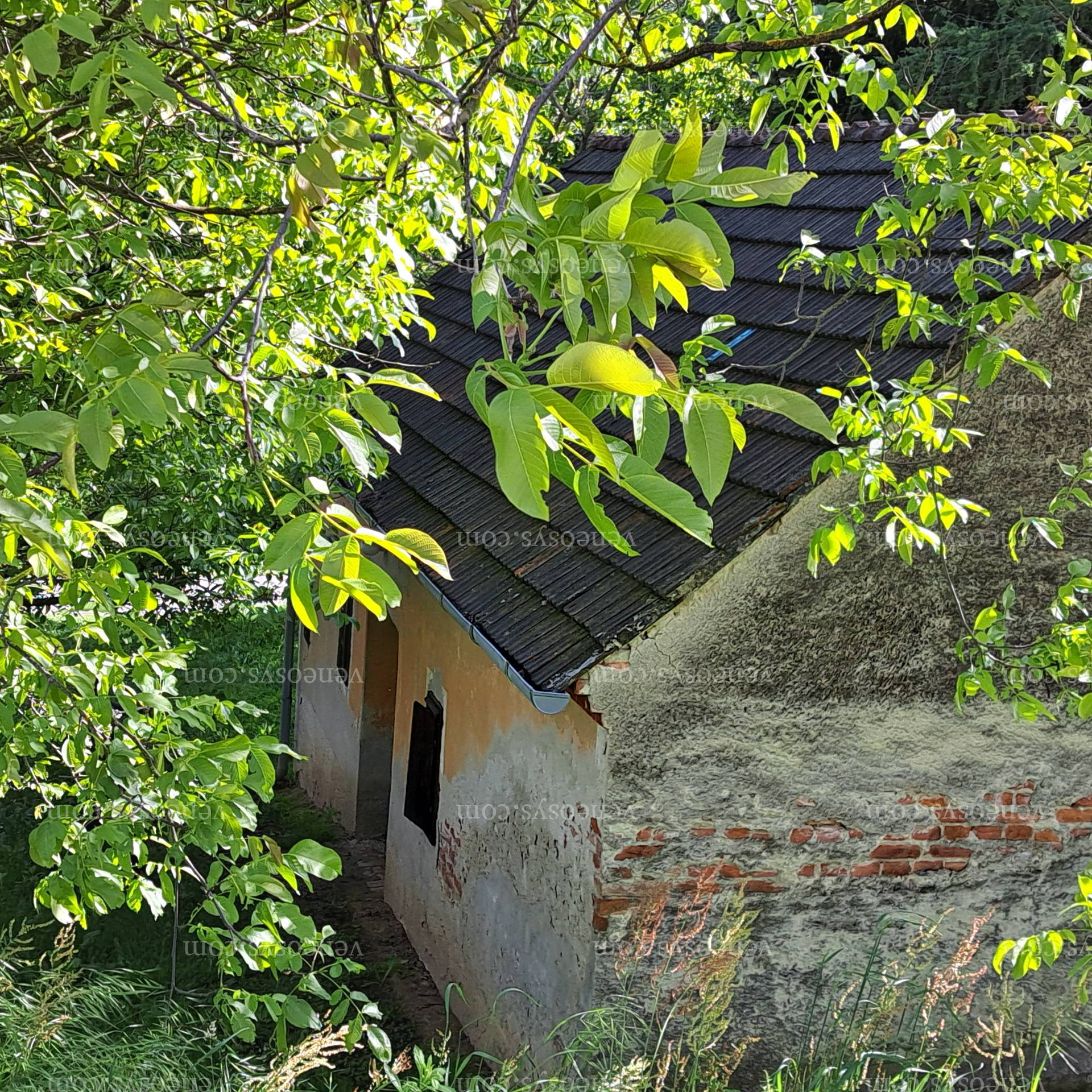 Kép 11