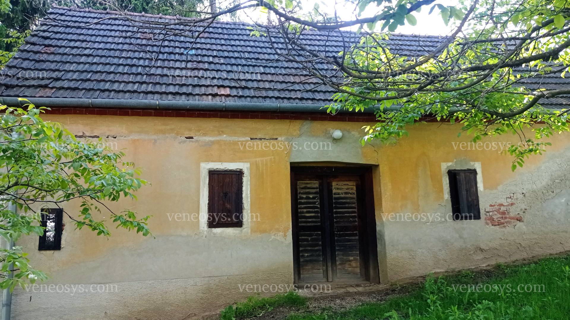 Kép 21