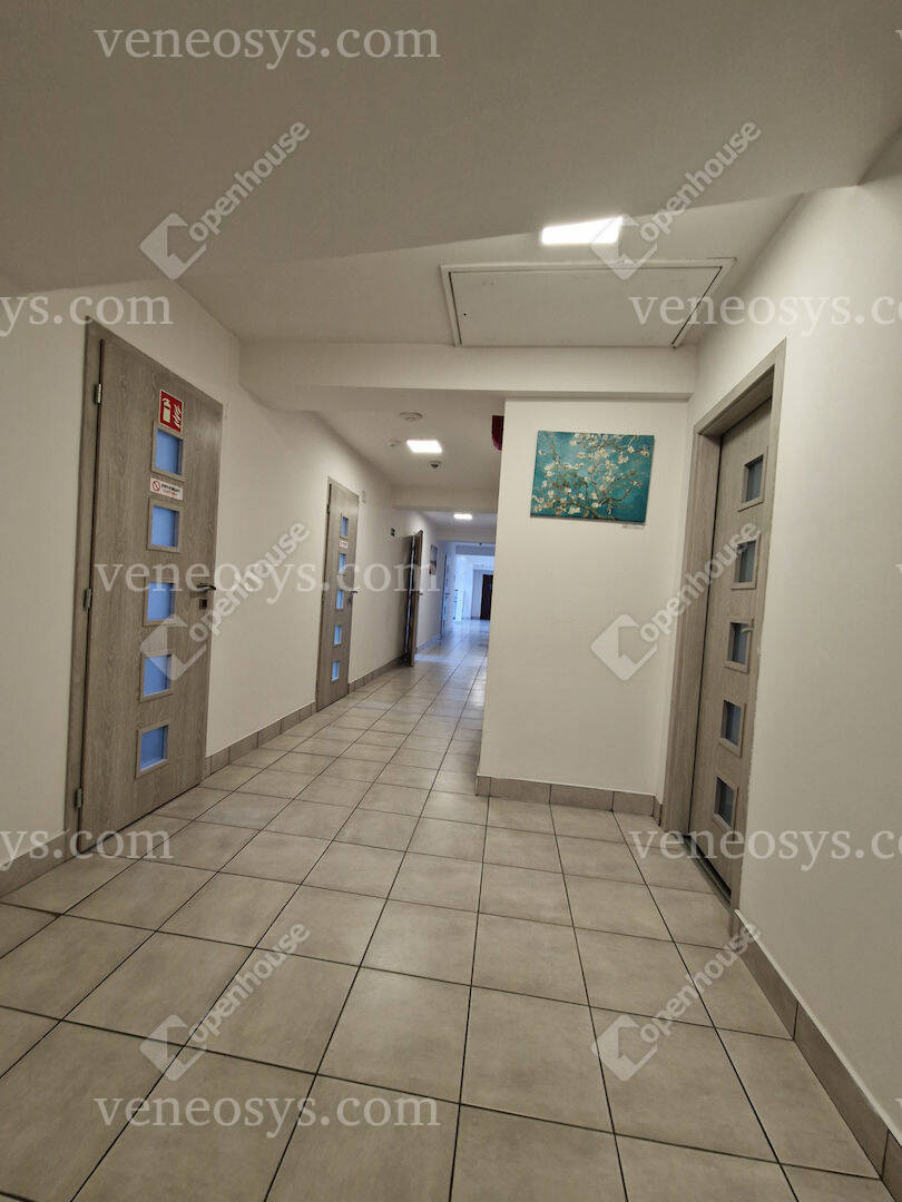 Kép 10