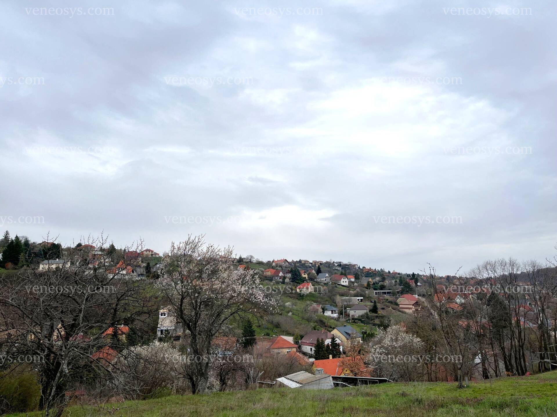 Kép 8