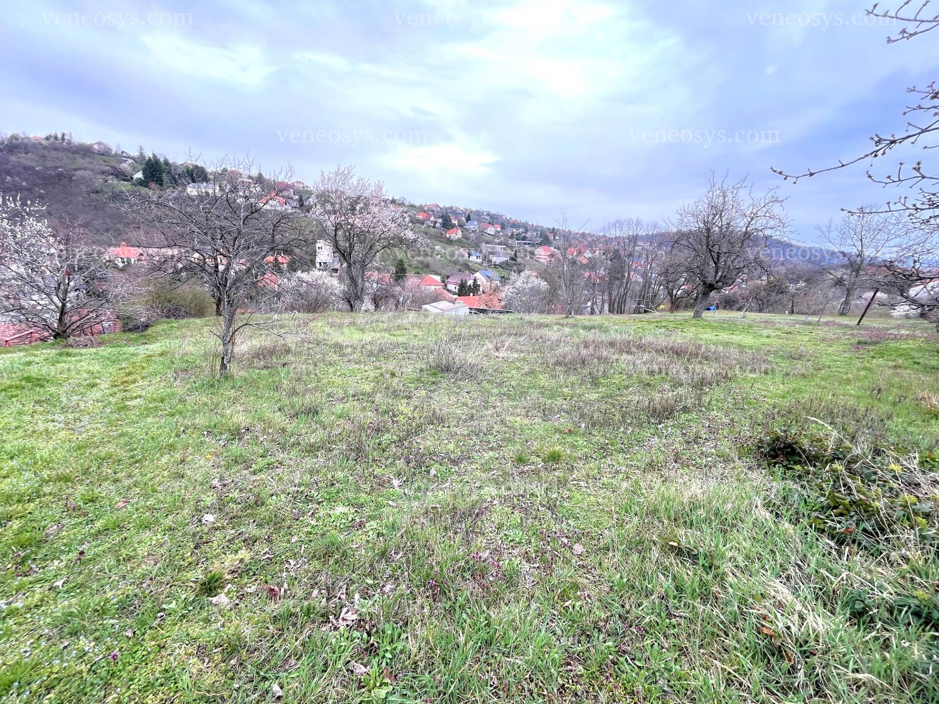 Kép 7