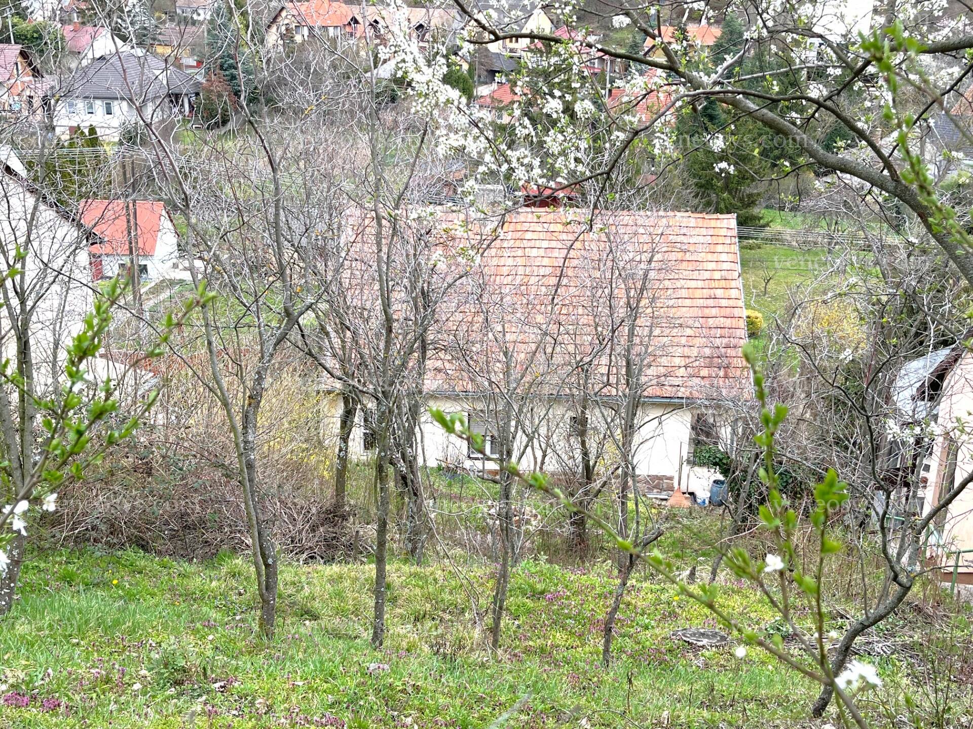 Kép 5