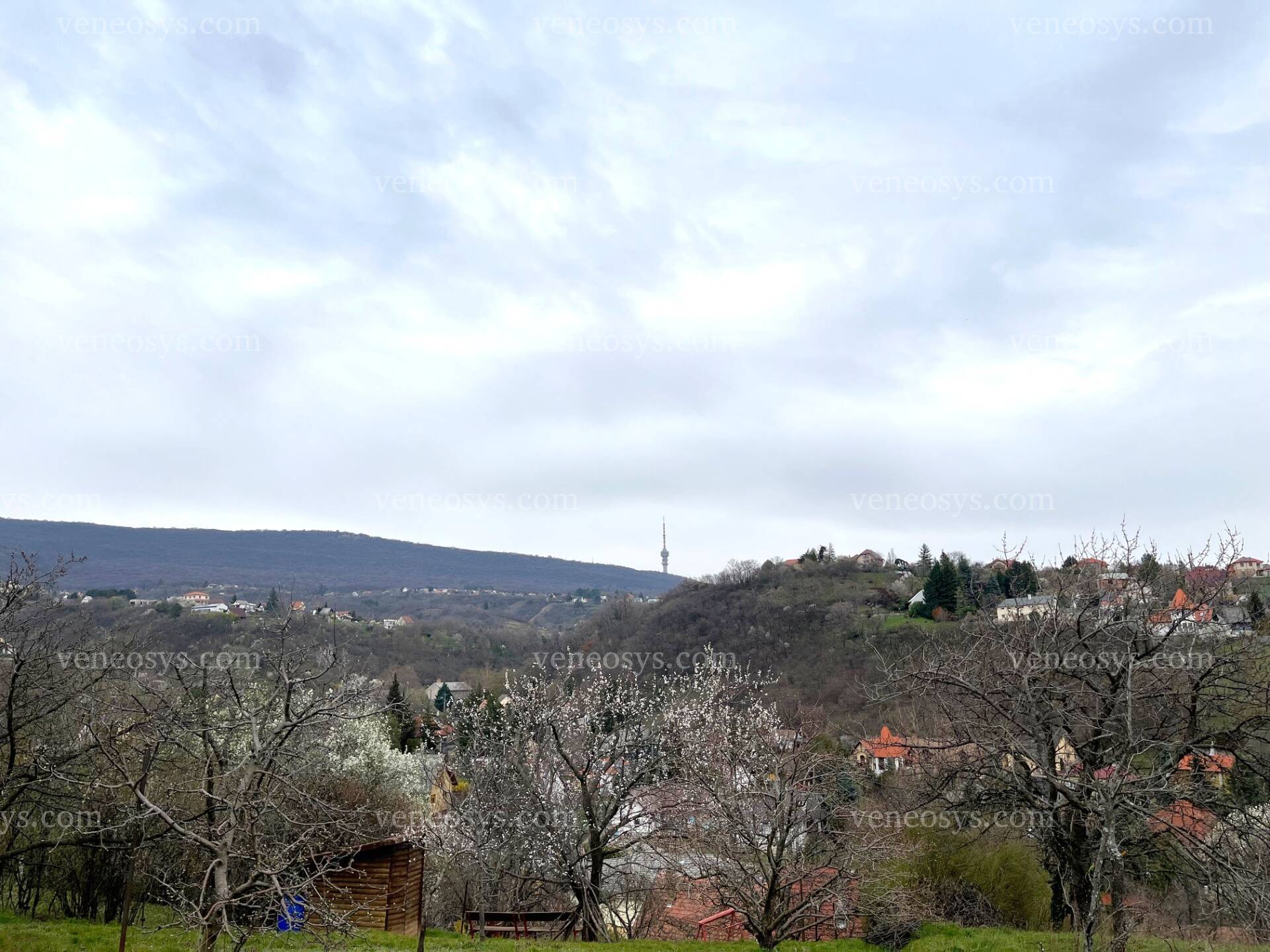 Kép 9