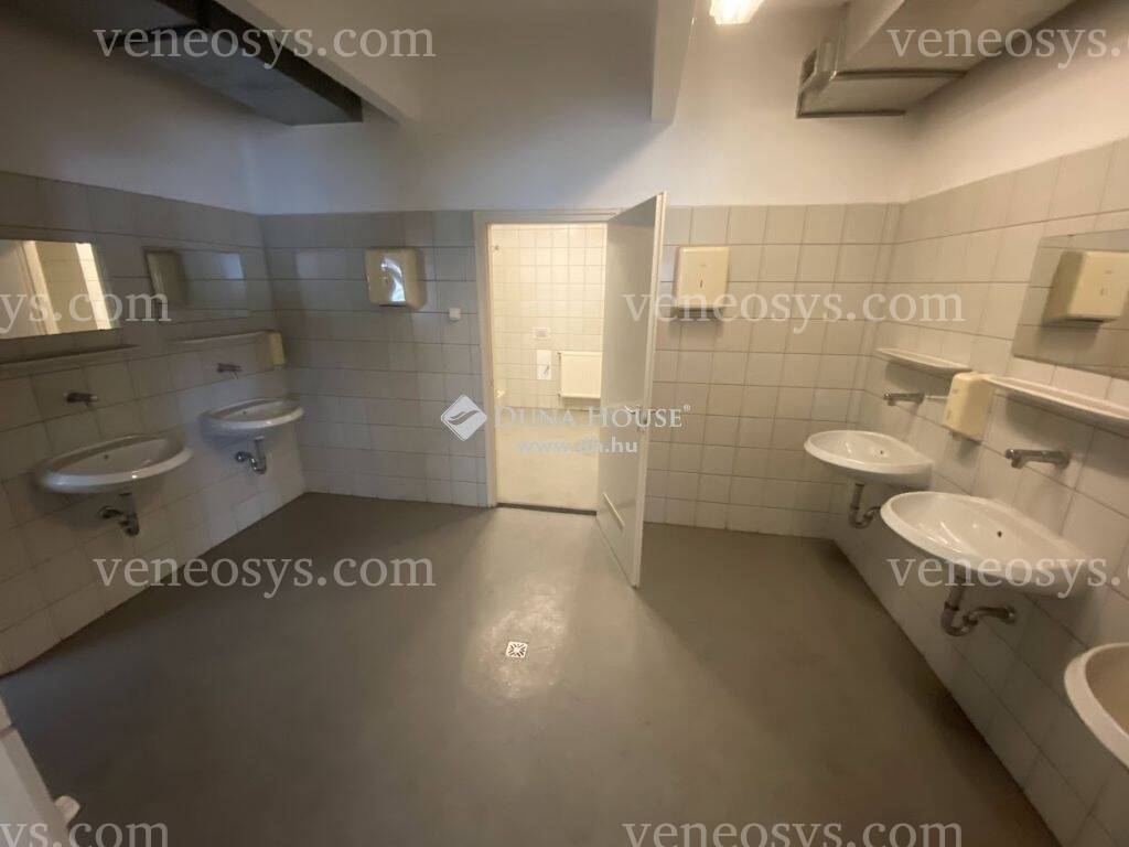 Kép 5
