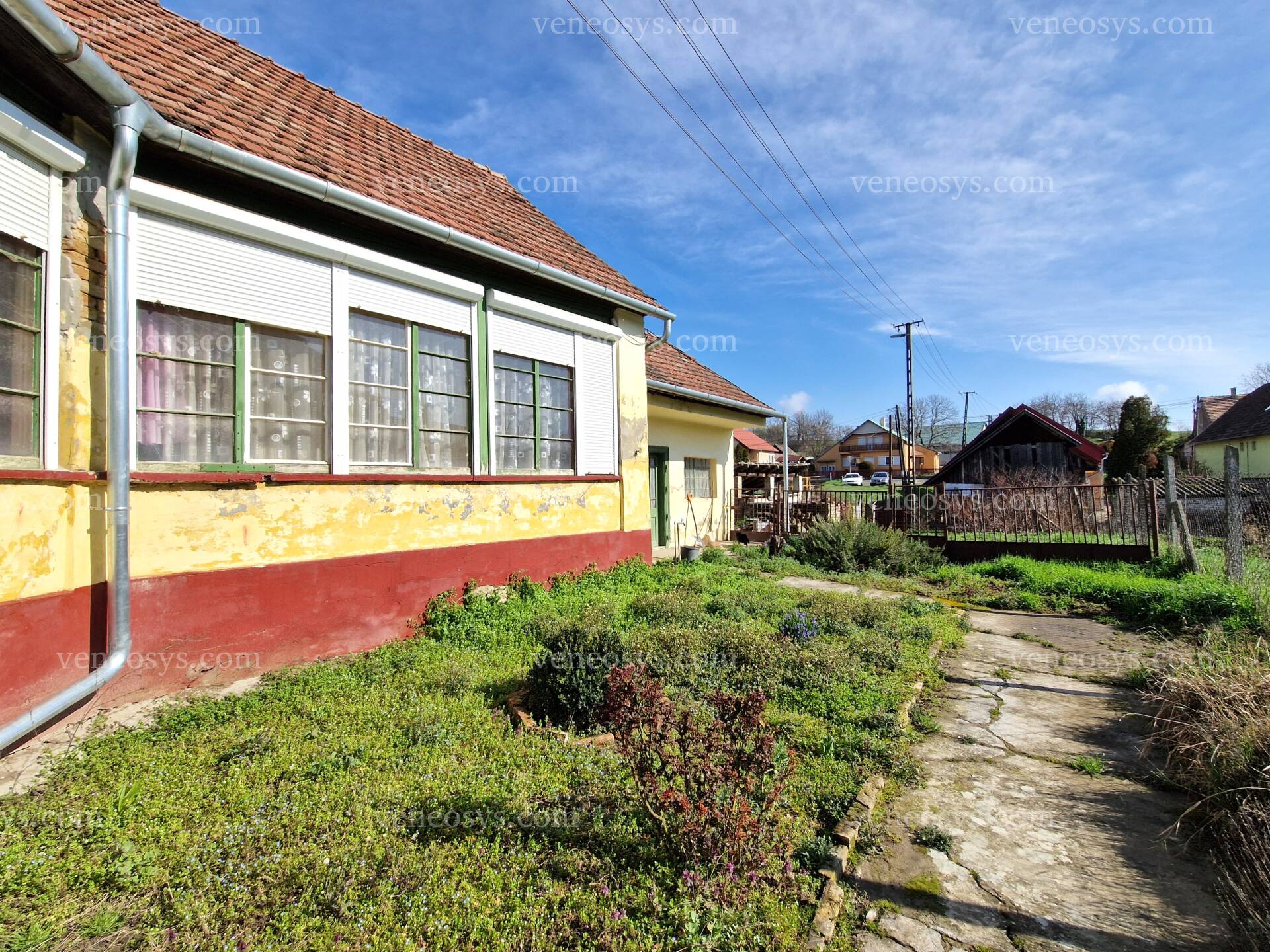 Kép 6