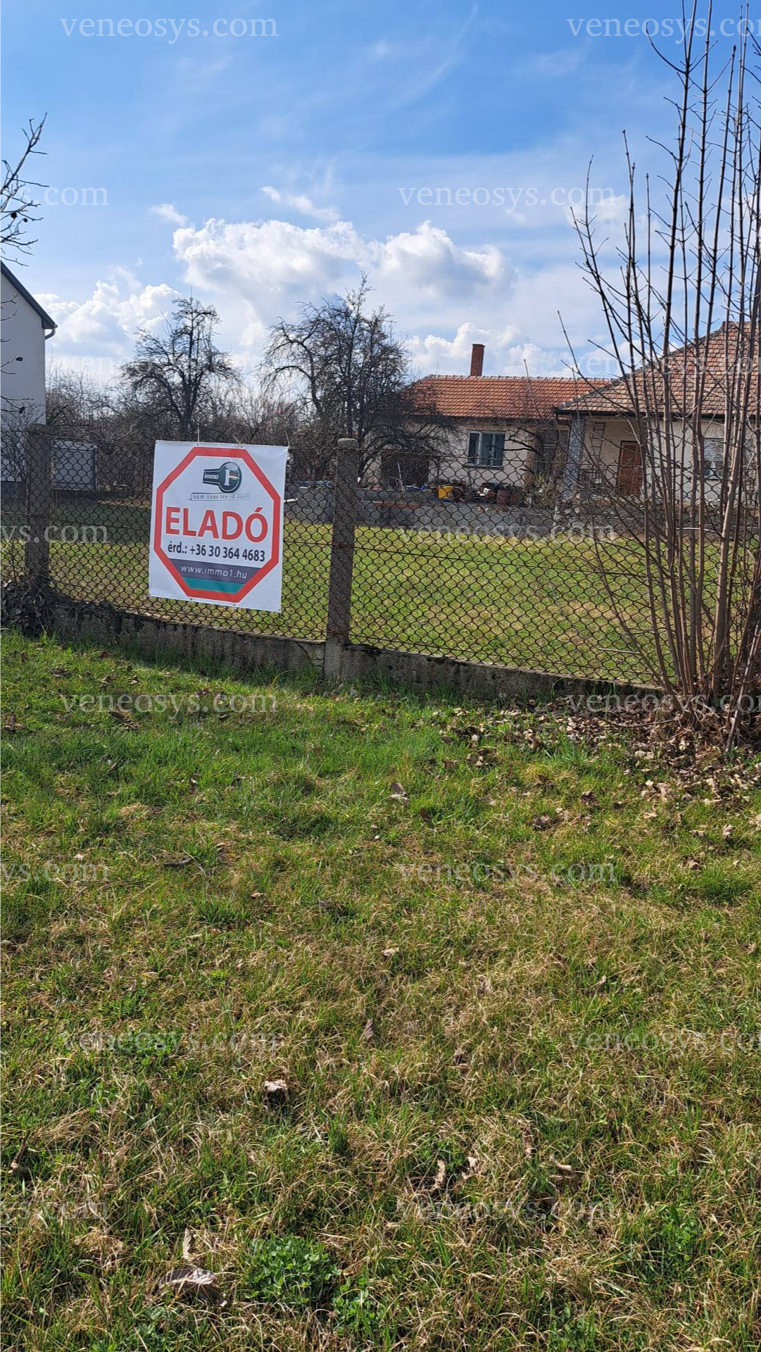 Kép 7