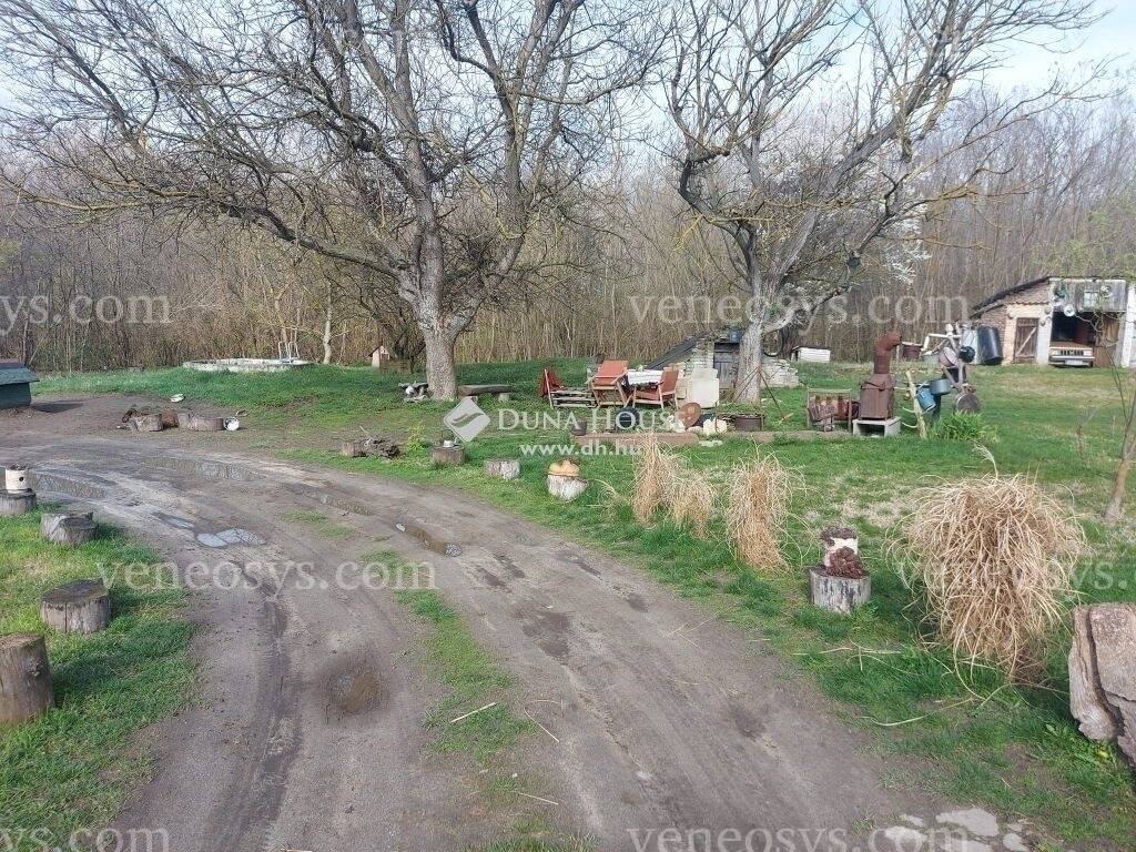 Kép 14